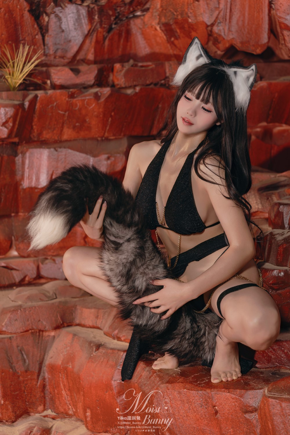 团子,咬一口兔娘,黏黏团子兔,狼的诱惑