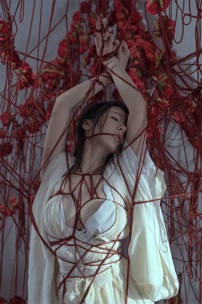 云溪溪,囚鸟