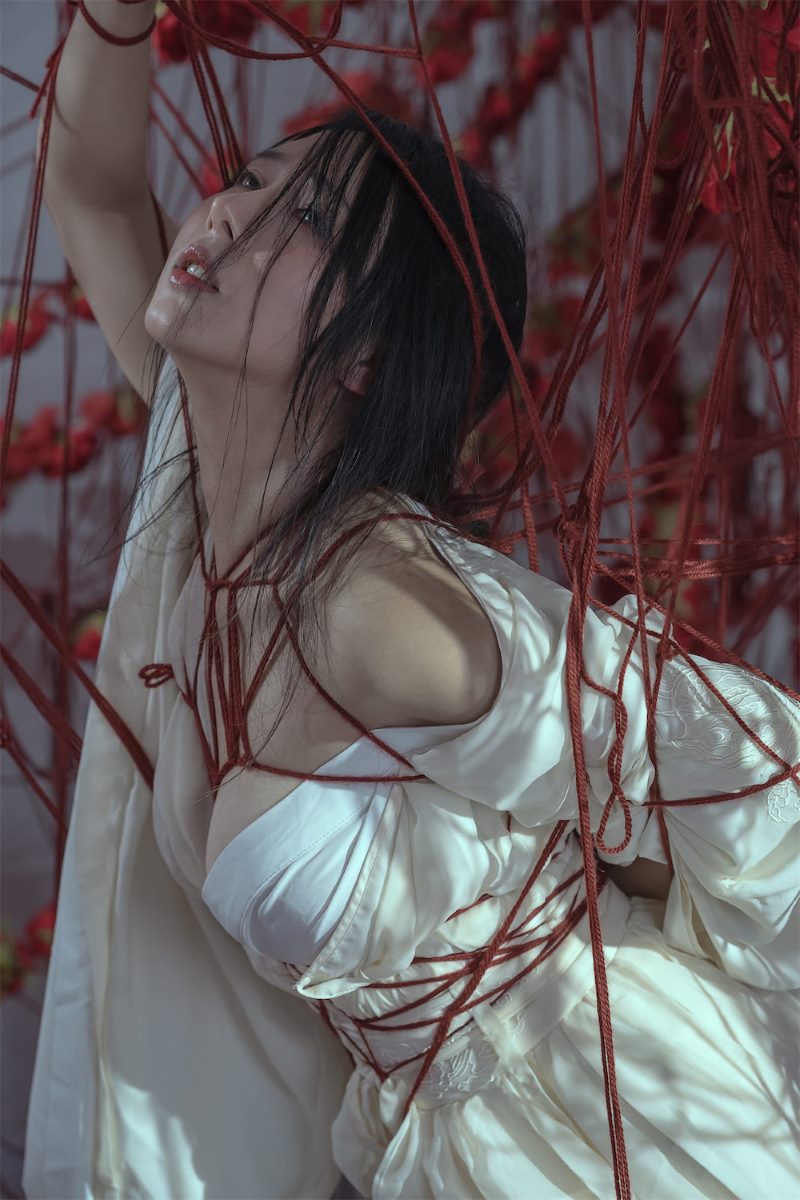 云溪溪,囚鸟