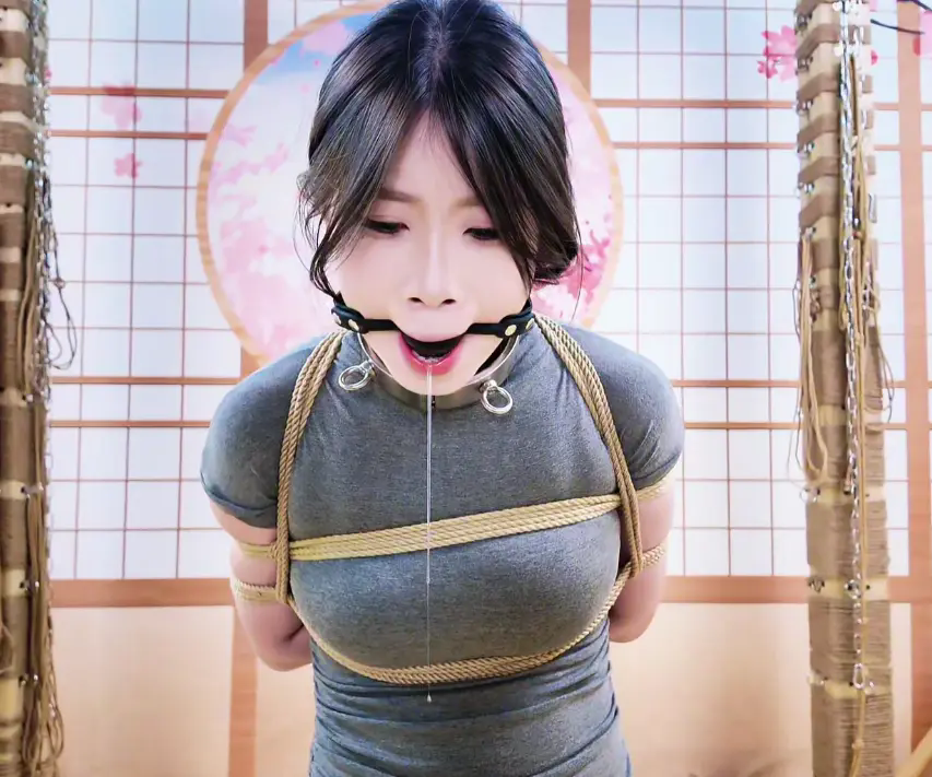 随心原创 杨蕊四角项圈 脖子控制 震动放置 放置,随心原创,项圈,杨蕊,脖子控制,震动放置