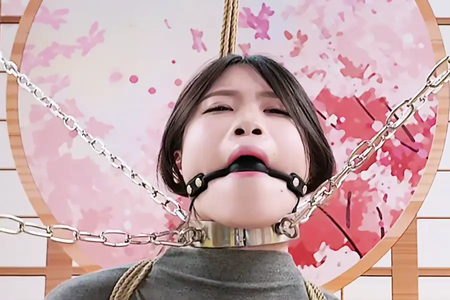 随心原创 杨蕊四角项圈 脖子控制 震动放置 放置,随心原创,项圈,杨蕊,脖子控制,震动放置