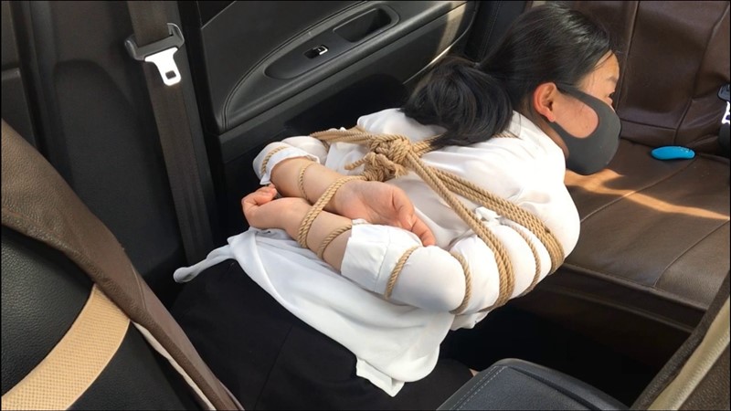 年末贺岁 上 路边抓到一个美妞会发生什么呢