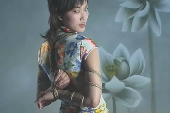 放飞