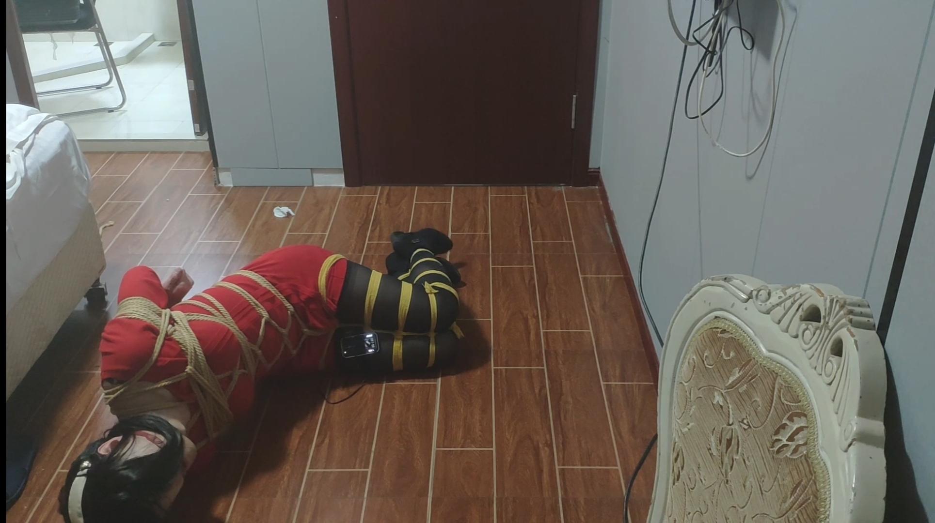 鸽cos约尔的自缚+郊狼
