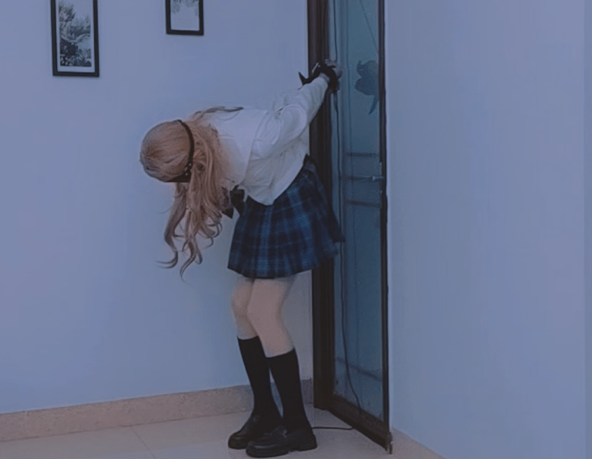 美梦成真2(伪娘 粉丝订拍）