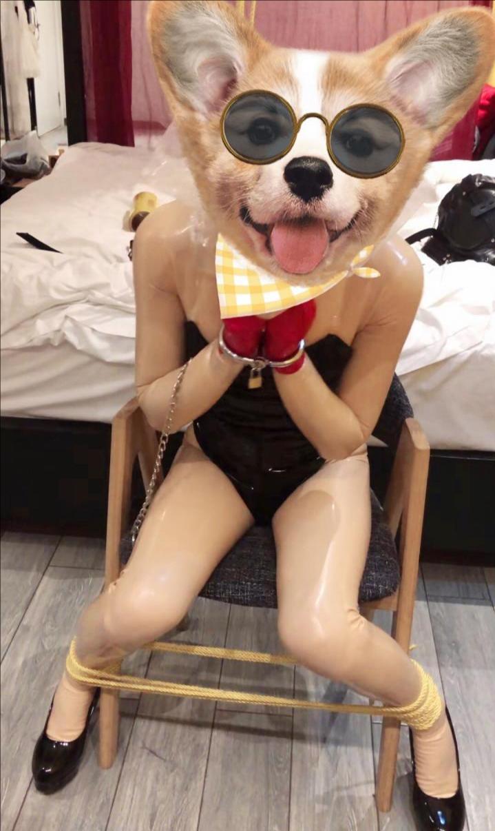 Kigurumi小囡 手铐 胶带 绳艺 束缚 项圈 奶瓶 胶衣