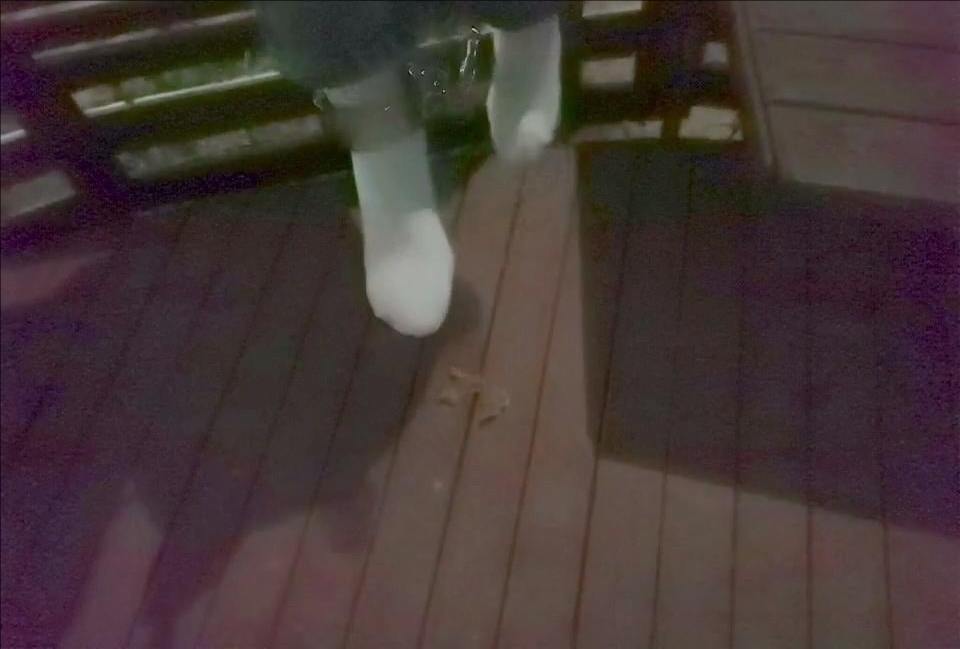 第十三波的视频~