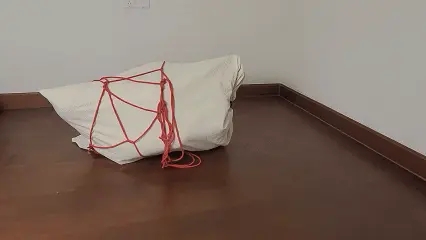 小姐姐团缚