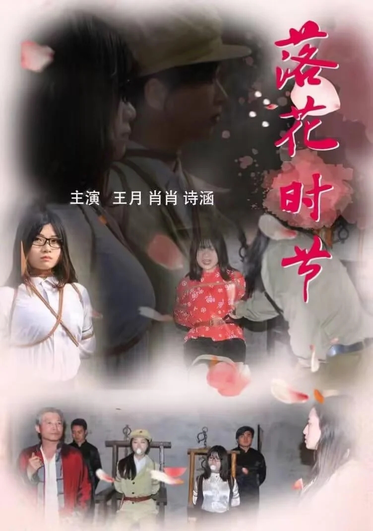 怀旧影视落花时节第三集