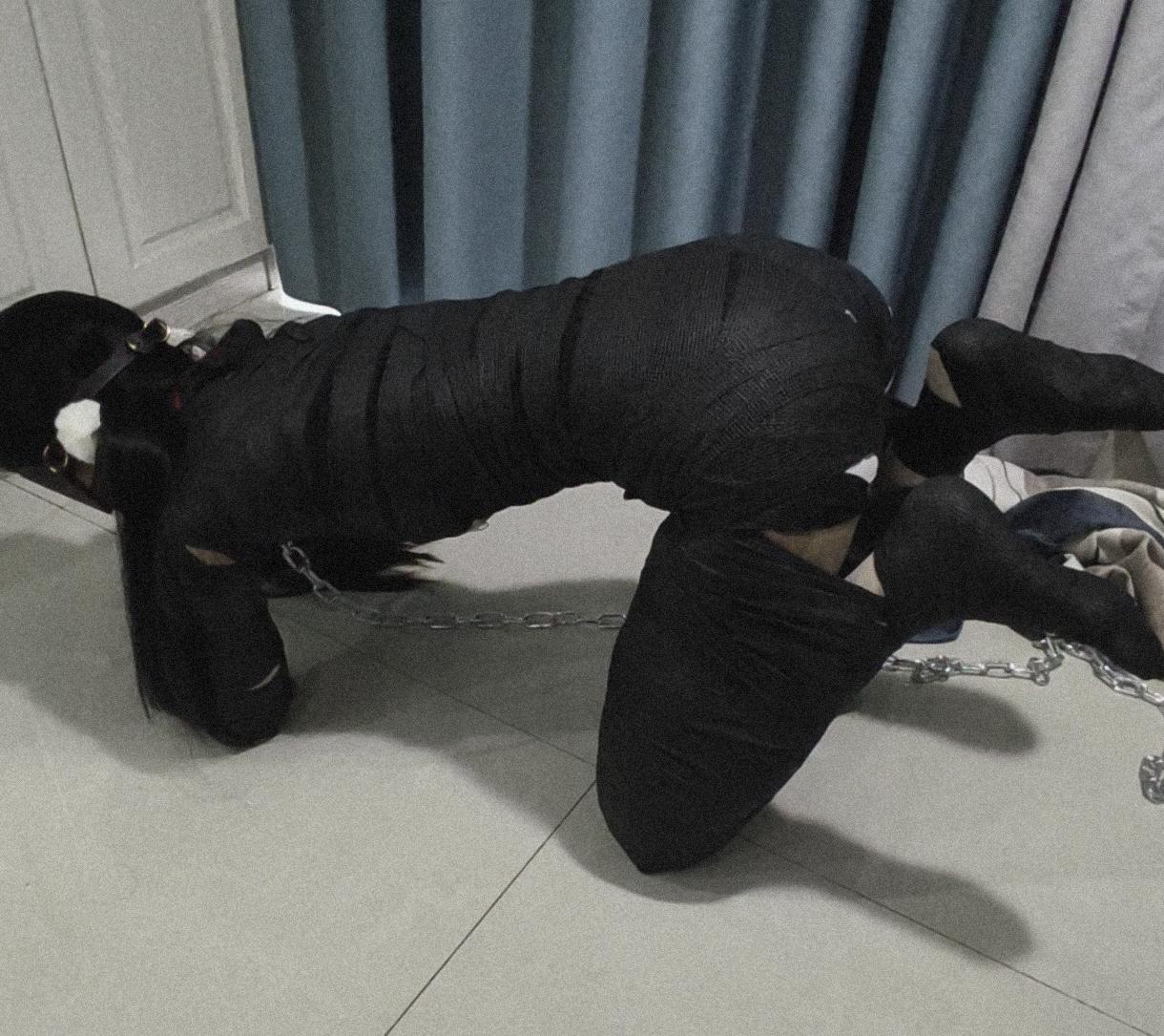 溪溪k9捆绑训练 给溪溪绑成小狗训练4肢走路，第一次不太熟练，拿着小鞭子狠狠督促一下