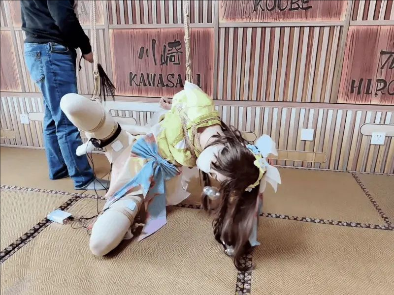 娜可露露，半吊着只能单膝着地，鞭打、郊狼、各种折磨