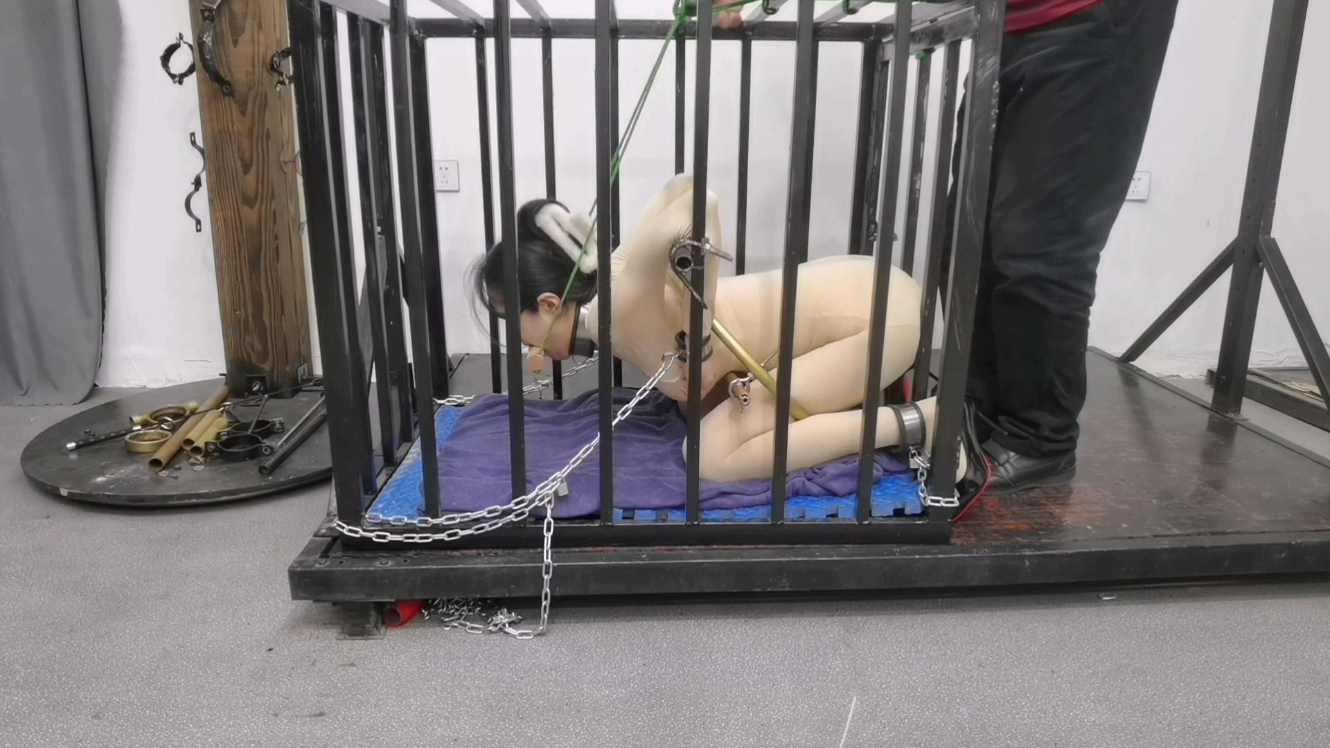 铁笼 禁锢 被紧紧禁锢起来 铁笼 禁锢 被紧紧禁锢起来