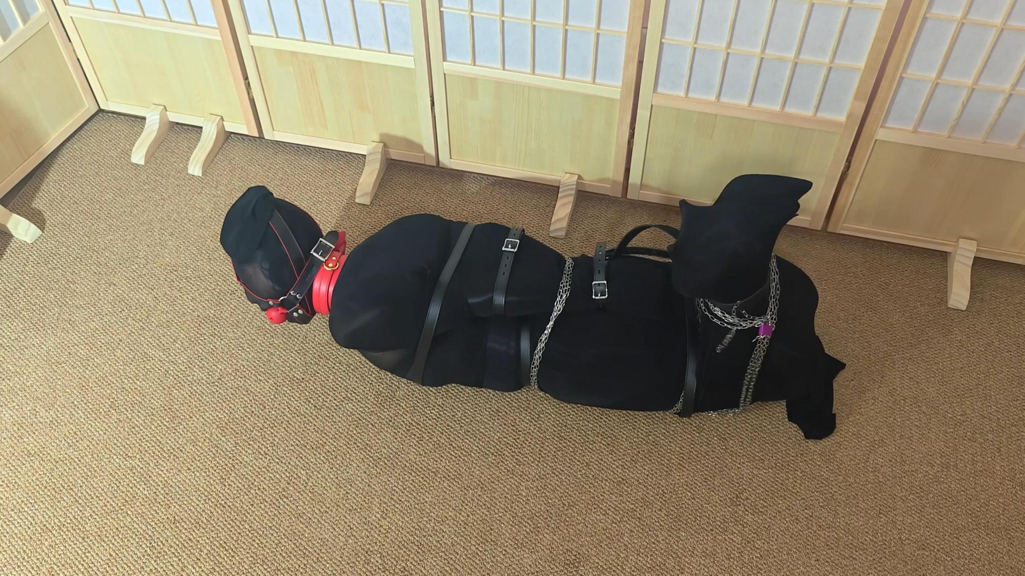 丝袜全包木乃伊,隔丝口球,高跟内穿,多重包手,多层驷马全包,缝合,铁链上锁,拘束带捆绑 丝袜全包木乃伊,隔丝口球,高跟内穿,多重包手,多层驷马全包,缝合,铁链上锁,拘束带捆绑