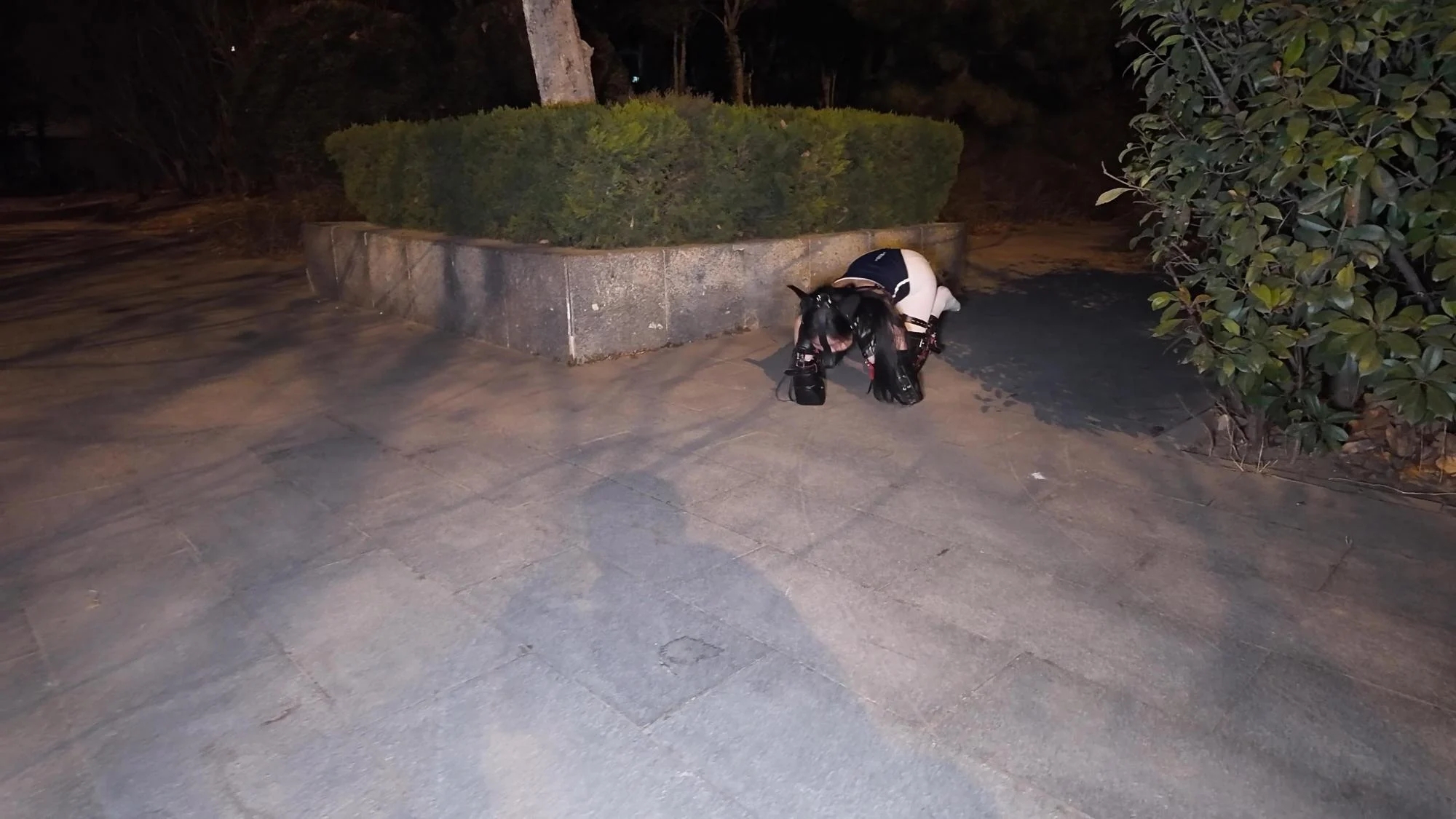 k9户外遛狗式爬行调教 sp 死库水配白丝双马尾 长距离爬行 k9户外遛狗式爬行调教 sp 死库水配白丝双马尾 长距离爬行