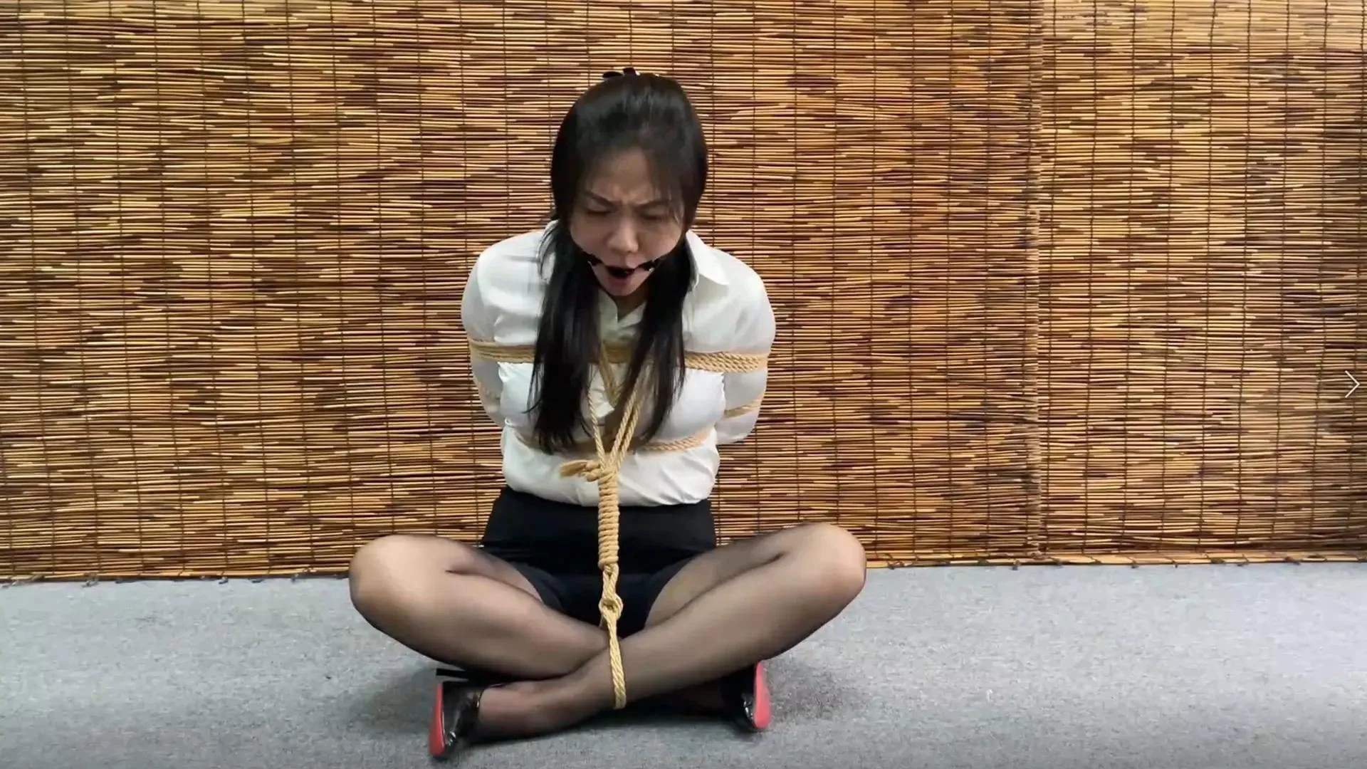 【云雀定拍】《侦探双姝的劫难》全集