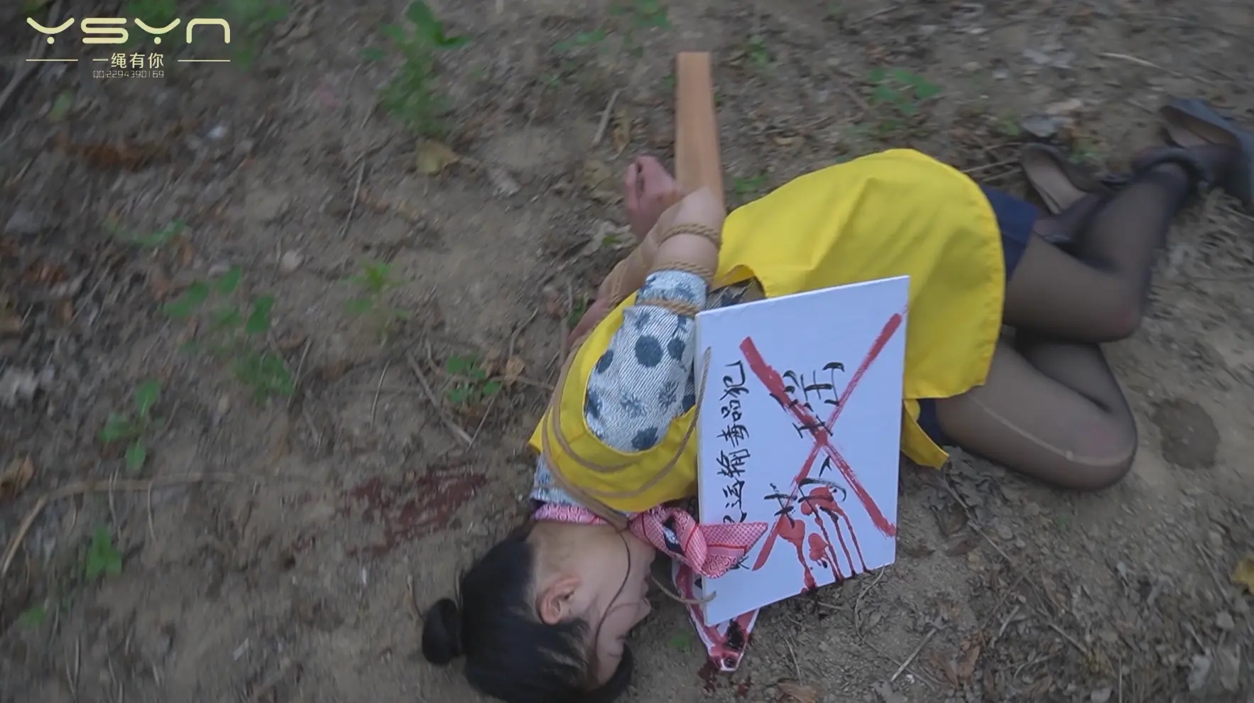 【堕落的云端梦】曾经怀揣蓝天梦想的空姐苏瑶一步之差陷入毒念深渊入牢判死刑枪决 【堕落的云端梦】曾经怀揣蓝天梦想的空姐苏瑶一步之差陷入毒念深渊入牢判死刑枪决