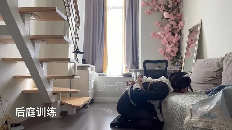 女仆奇遇2—专项训练