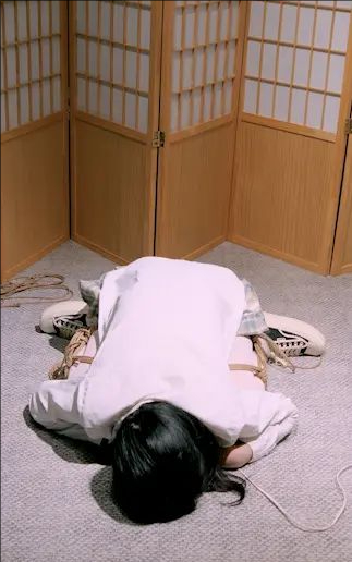 支架折磨定拍 支架折磨定拍