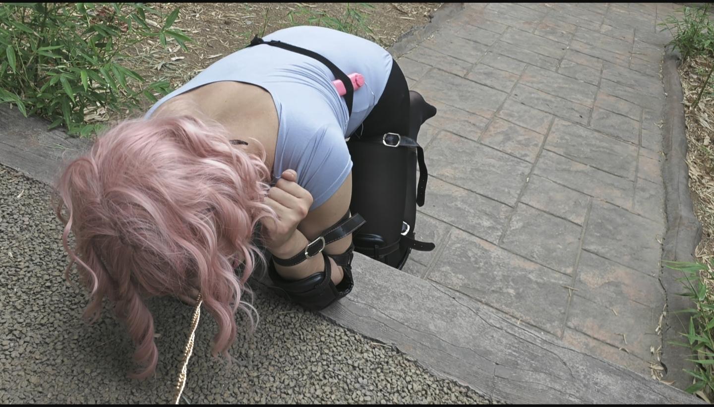 炎热的夏天来一场k9吧