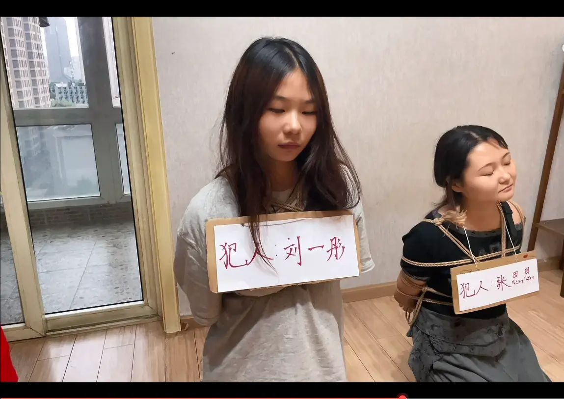 《罪红颜》两个诈骗犯 坑蒙拐骗 执行s刑 三种死法 令人胆寒到残酷。【定转公】 《罪红颜》两个诈骗犯 坑蒙拐骗 执行s刑 三种死法 令人胆寒到残酷。【定转公】