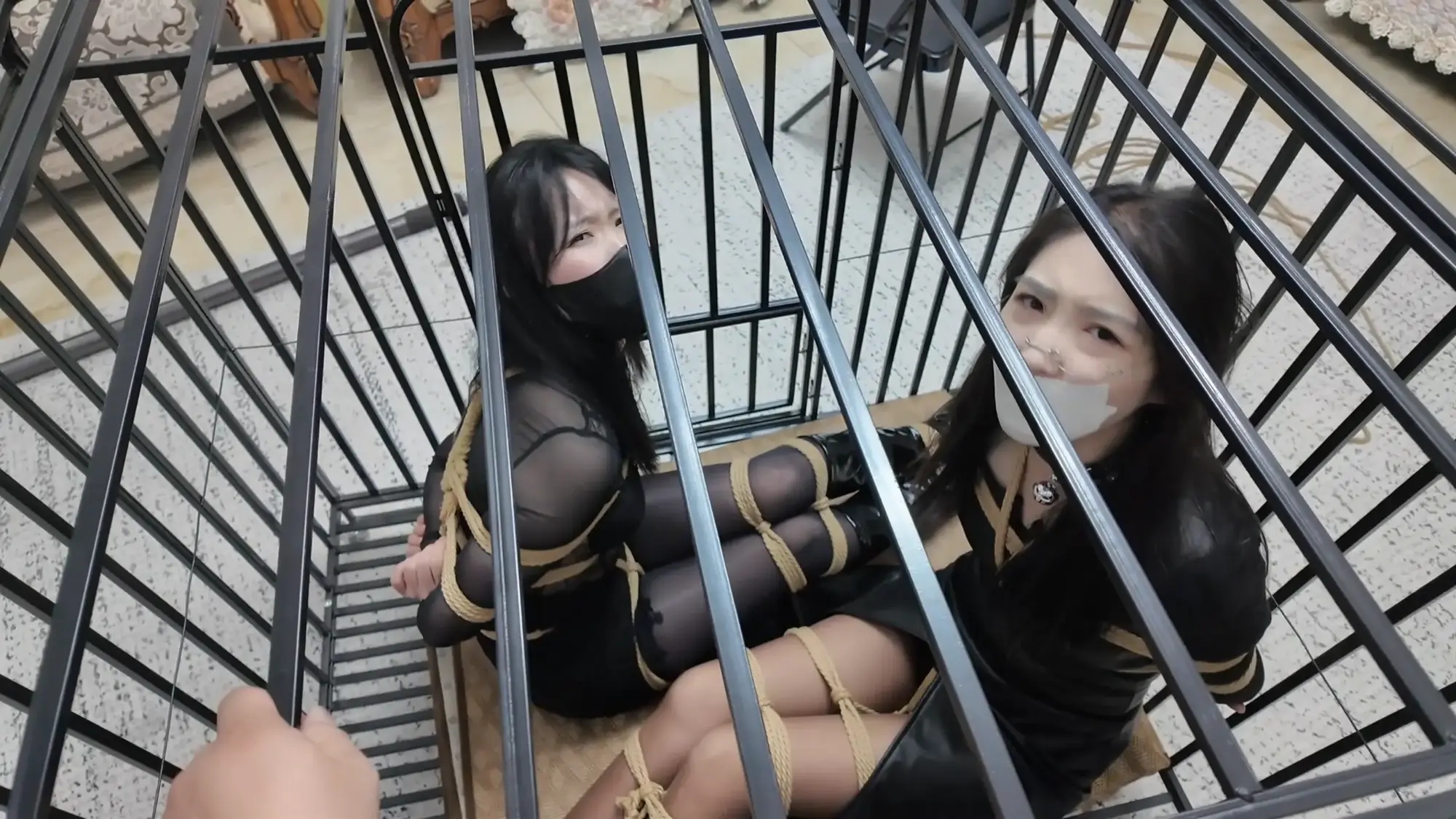 彩虹与黑猫·新美人捕获·女王的余兴游戏 彩虹与黑猫·新美人捕获·女王的余兴游戏