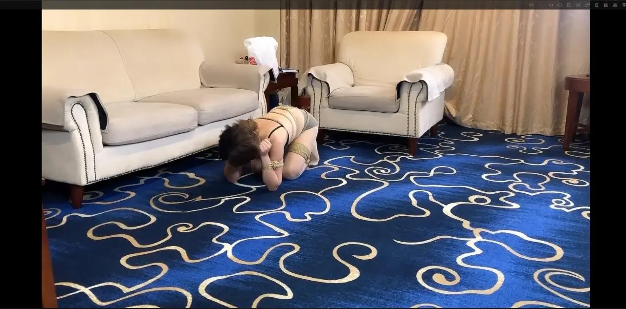 女M的调教 最后一集