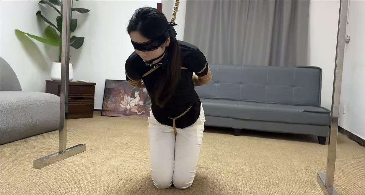 金宝工作室 《女搜查官劫难》 金宝工作室 《女搜查官劫难》