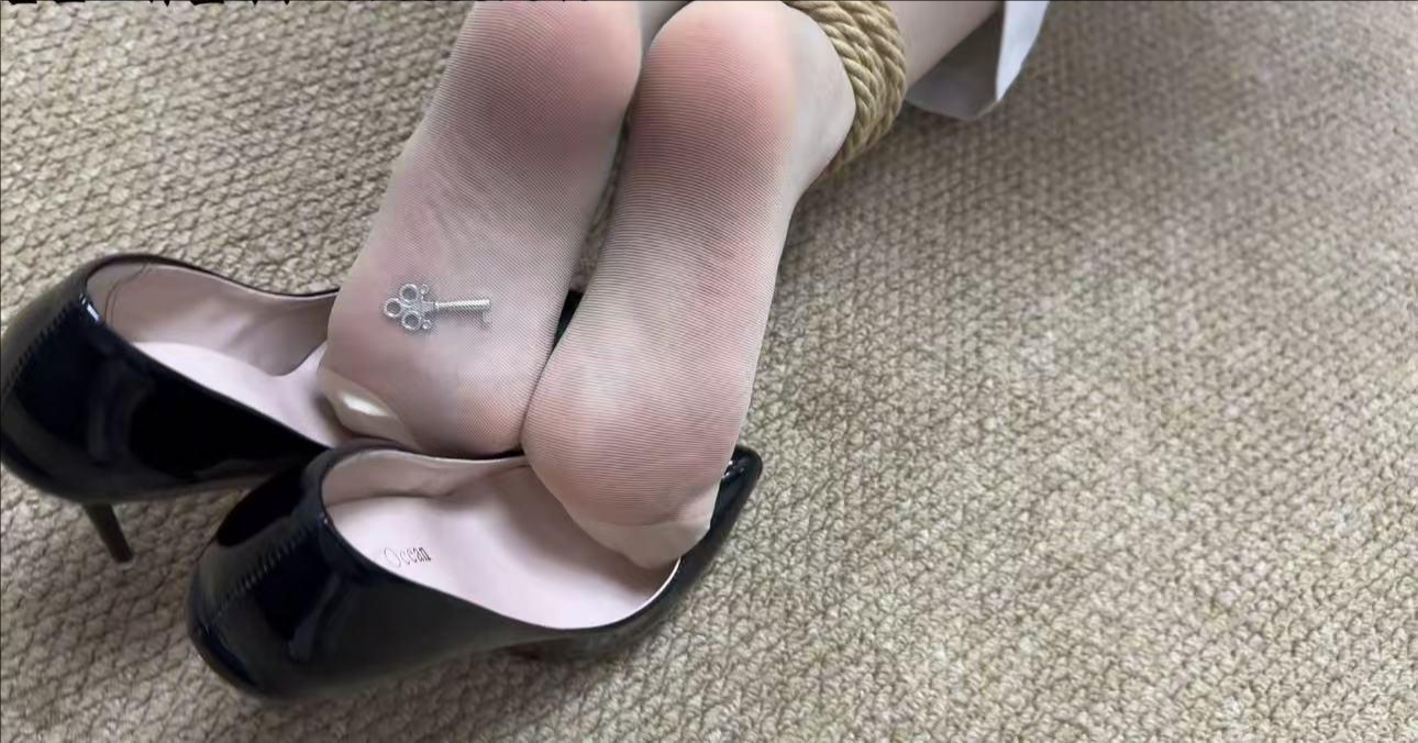 金宝工作室 《女搜查官劫难》 金宝工作室 《女搜查官劫难》