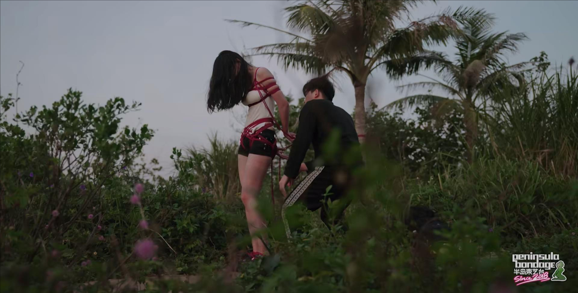 椰林奇遇 椰林奇遇