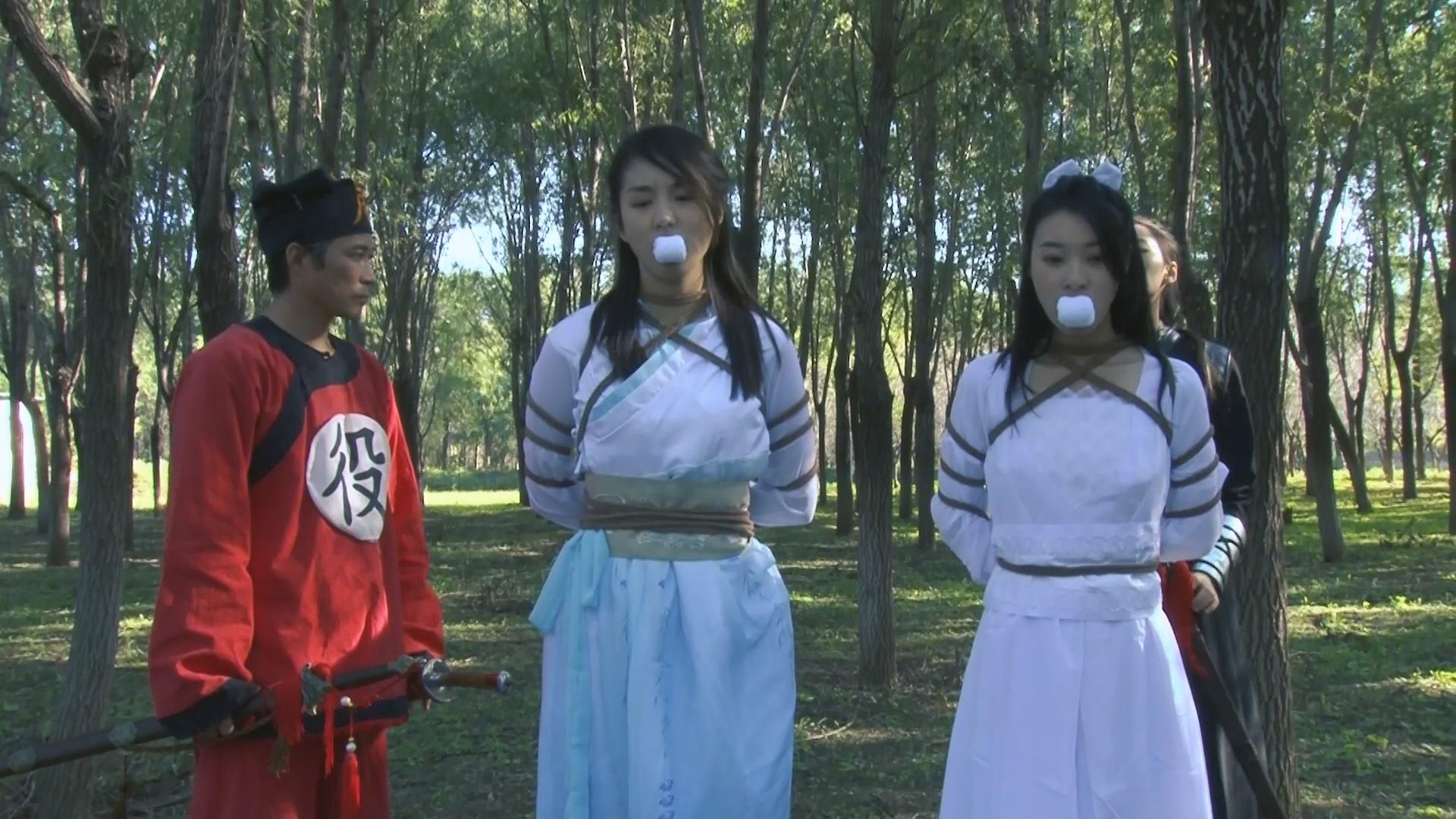 怀旧影苑定制古装剧《女神捕之江南烟云》完整版