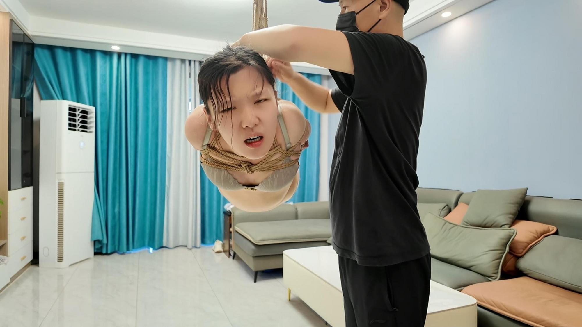 新年预告