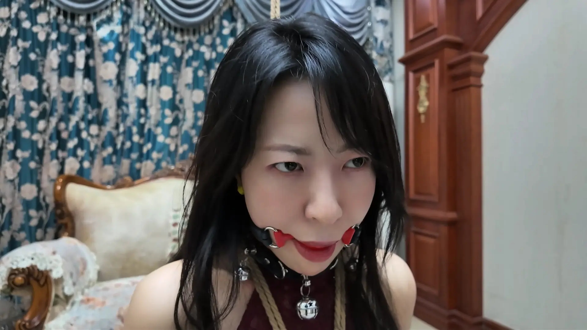 彩虹与黑猫·黑猫小分队·柴哥半场香槟戏莫璃