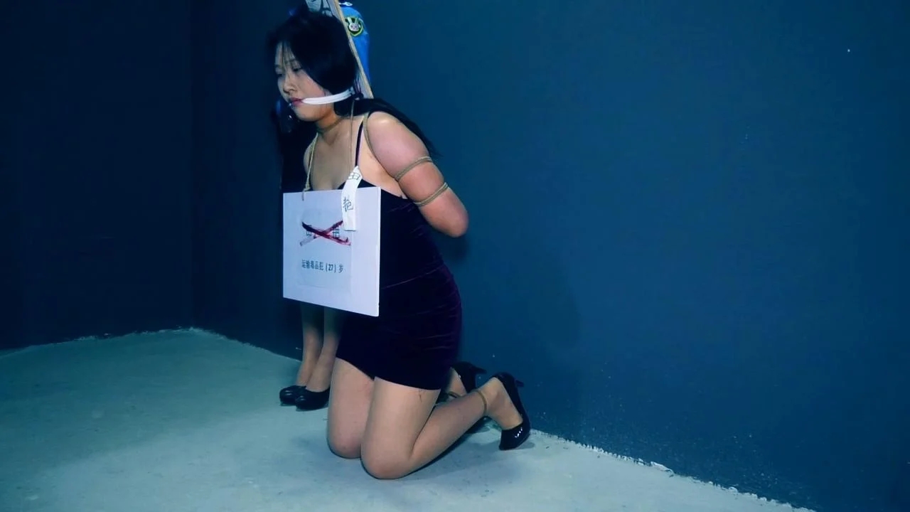 罪恶女老大不归路