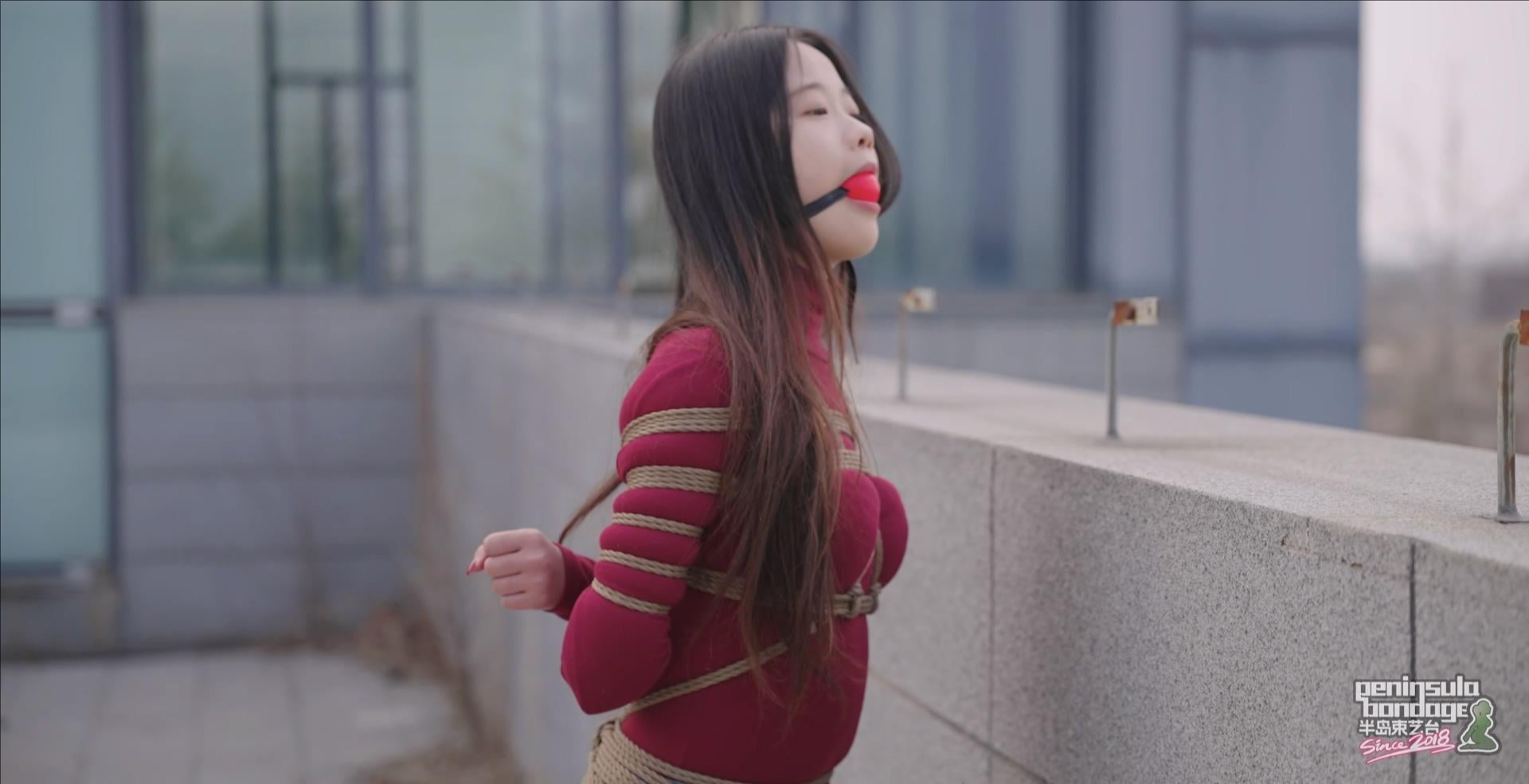 【星眠】 冬天的椰子树