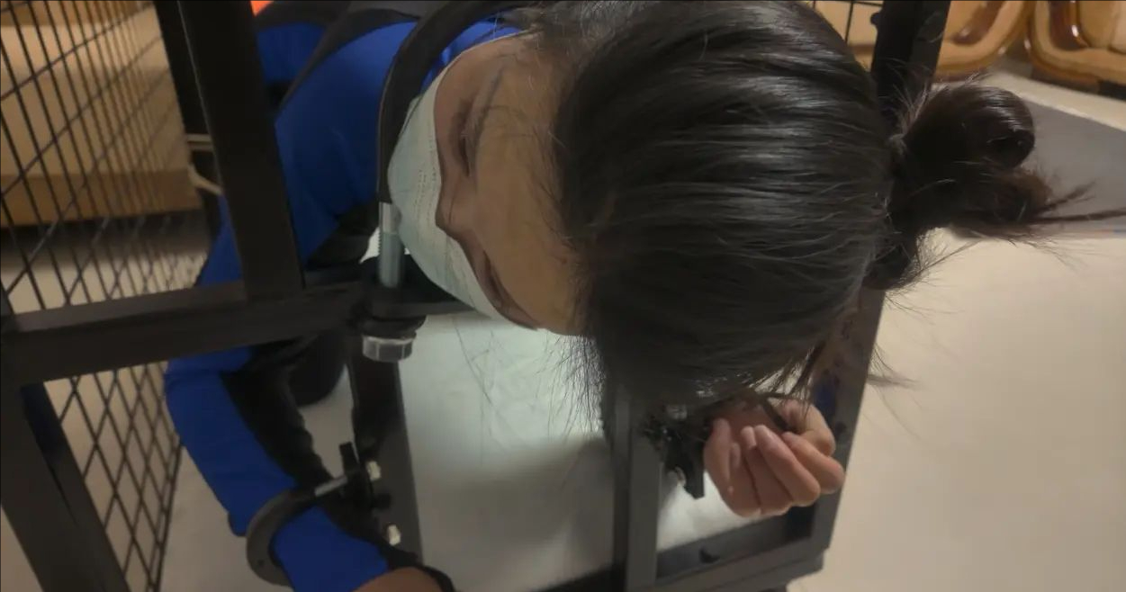 【道士下山】自缚 狗笼放置 囚禁