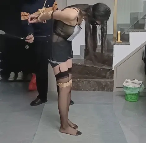 当家里有一个爱偷懒的女仆2（小妖）