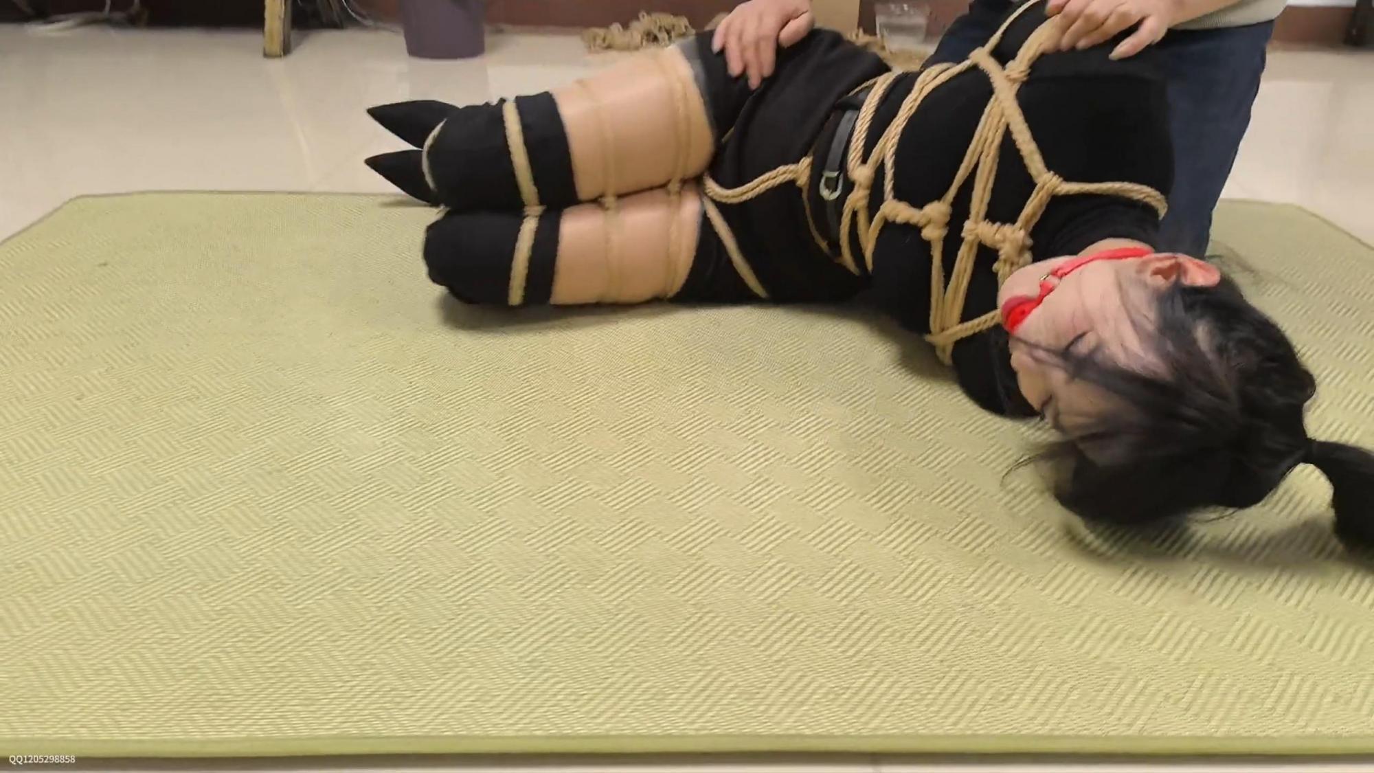 蝴蝶入室捆绑