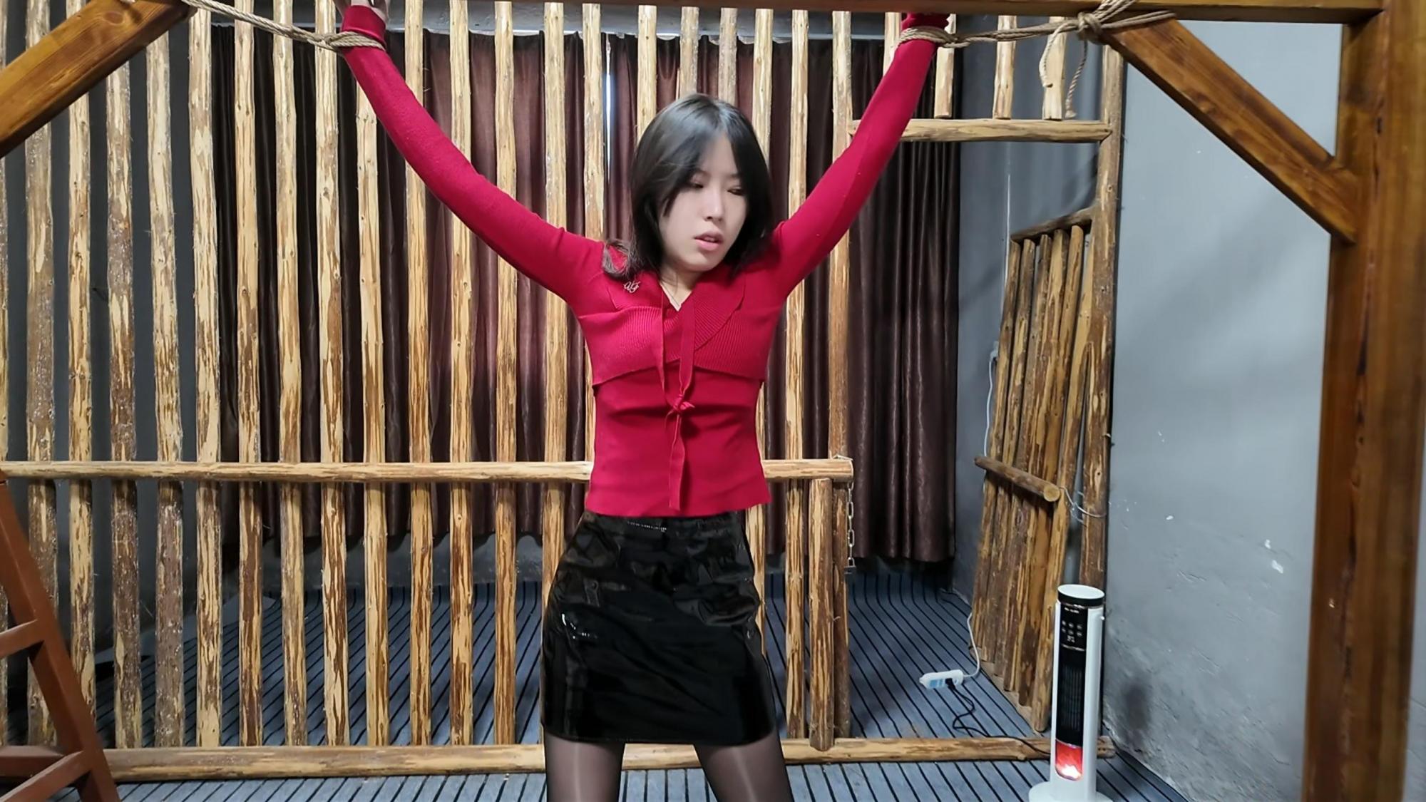 惠子老虎凳3