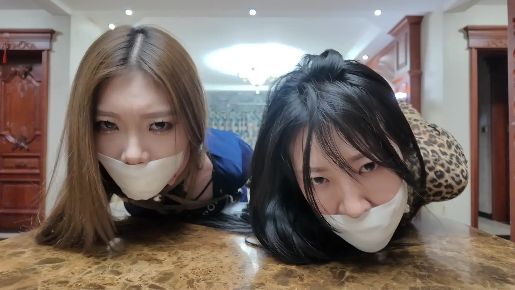 彩虹与黑猫·黑猫小分队·黑白双美妙计擒坏蛋