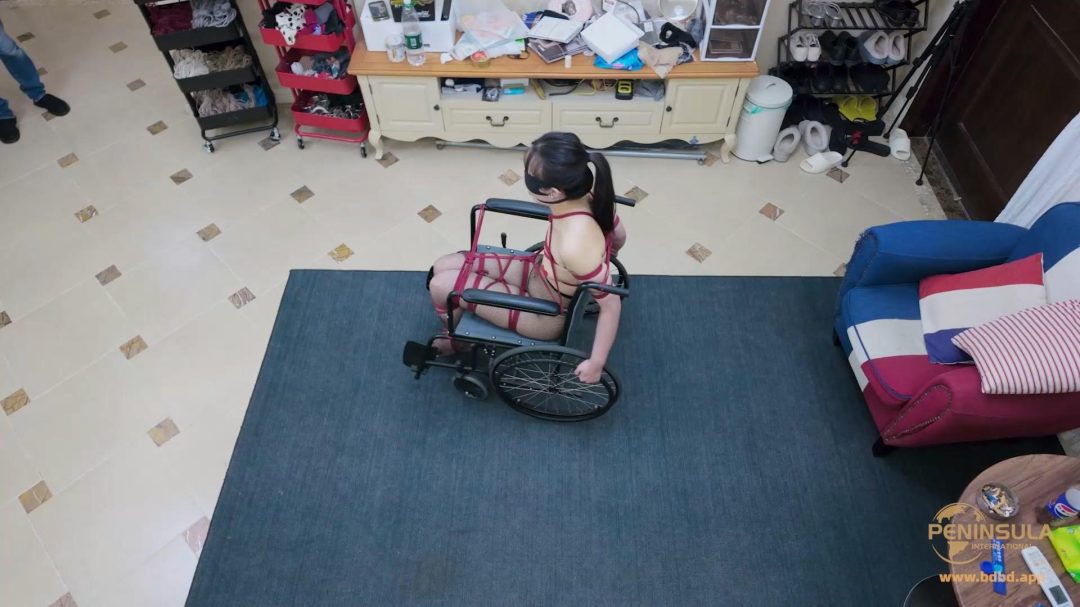 【半岛束艺台】【波雅】轮椅的正确驾驶方法