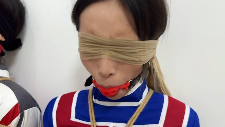 【金宝定制】奥特警备队