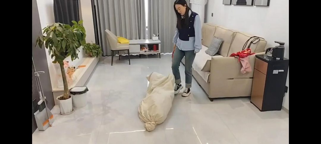 送货上门的女人