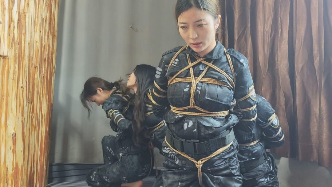 李大侠定制：《特战行动》完整版