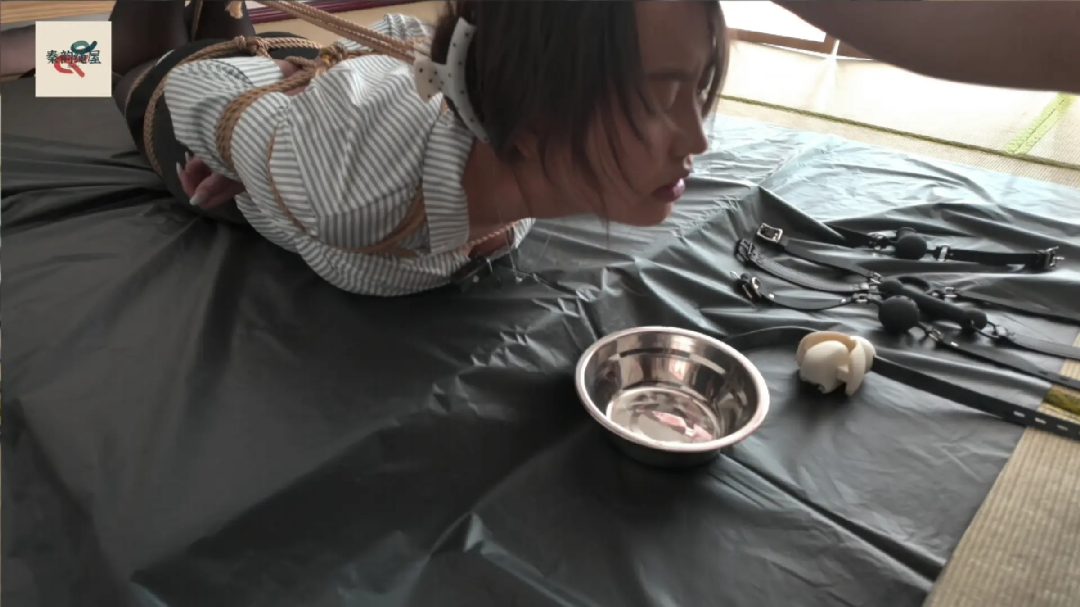 秦韵绳屋 要债风波（下）
