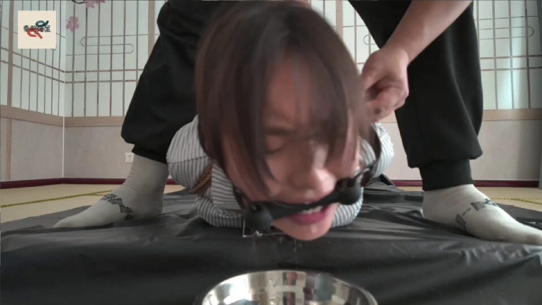 秦韵绳屋 要债风波(下) 秦韵绳屋 要债风波(下)