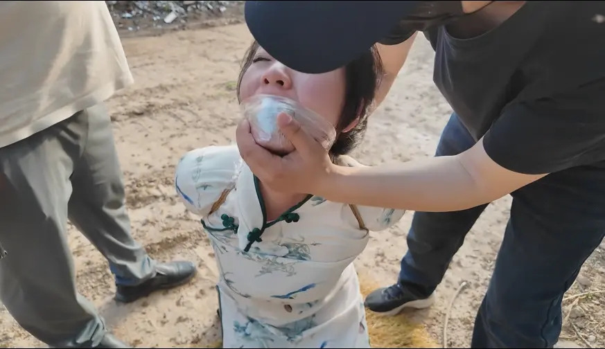紫涵之交通员遇难记