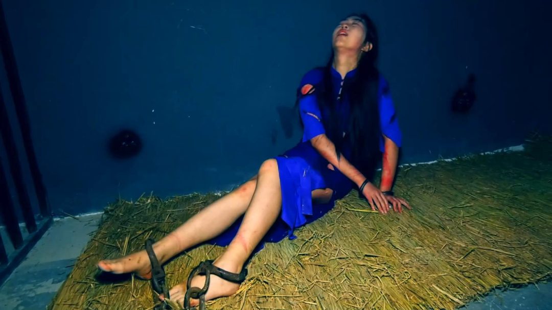 定拍转公映《春雷行动》下集 刘涛被女特务吊缚鞭打坐老虎凳灌辣椒水野外刑场就义