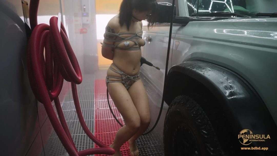 【半岛束艺台】【波雅】自助洗车