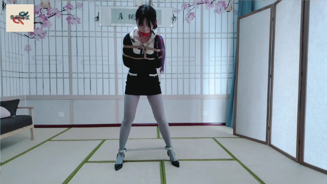 秦韵绳屋 到绳屋盗窃的蠢贼