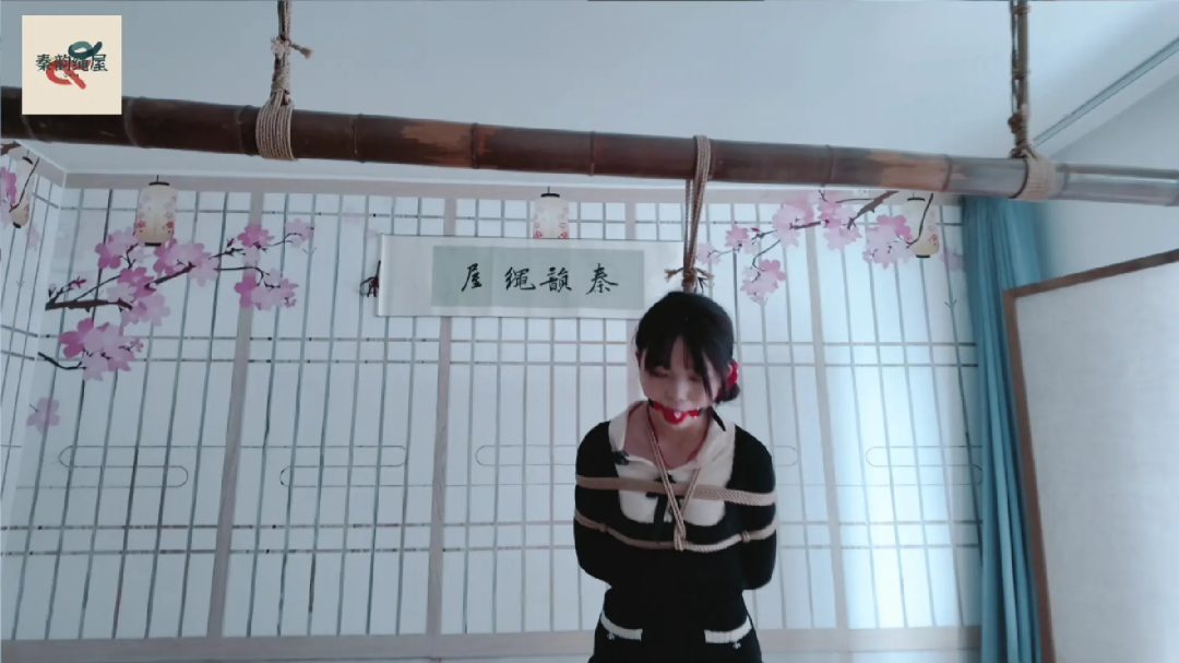 秦韵绳屋 到绳屋盗窃的蠢贼